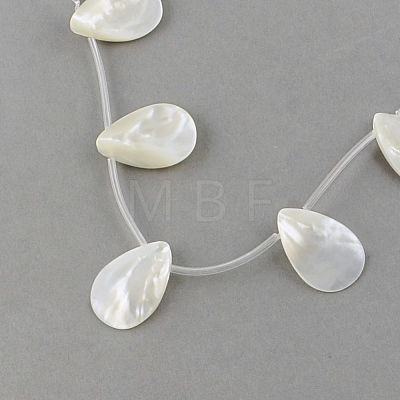 Natural Sea Shell Beads Strands SSHEL-Q296-01-1