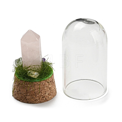 Natural Rose Quartz Bullet Display Decoration with Glass Dome Cloche Cover DJEW-B009-02G-1