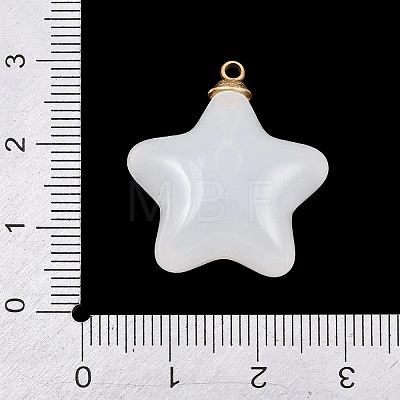 304 Stainless Steel Resin Pendants STAS-K322-11C-G-1