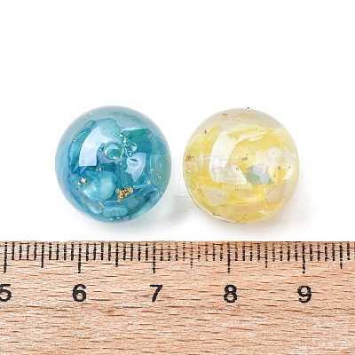 Transparent Resin & Natural Shell Beads X-RESI-B039-07-1