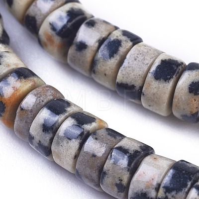 Natural Dalmatian Jasper Beads Strands G-I265-08-1