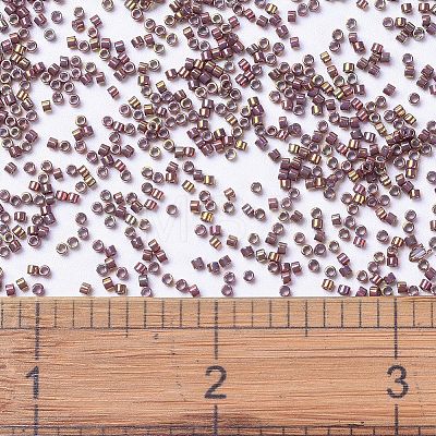 MIYUKI Delica Beads Small X-SEED-J020-DBS1013-1