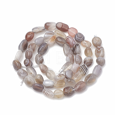 Natural Botswana Agate Beads Strands X-G-S331-8x10-010-1