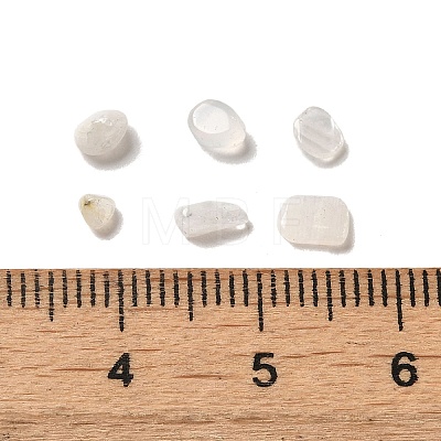 Natural White Moonstone Beads G-O103-32-1