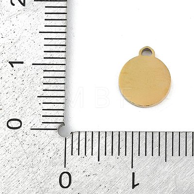 304 Stainless Steel Enamel Charms STAS-I325-063G-02-1