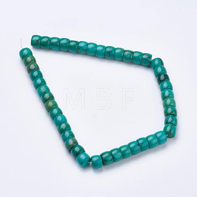 Natural Magnesite Beads Strands TURQ-K003-04-1