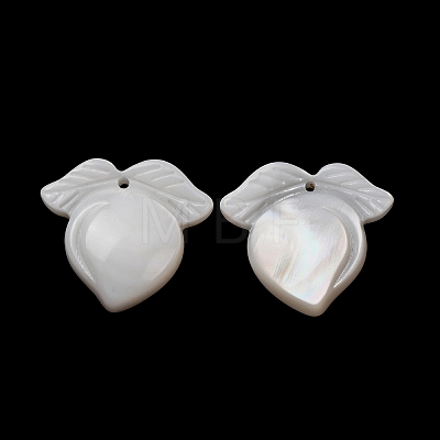 Natural White Shell Carved Fruit Pendants SHEL-G024-07-1