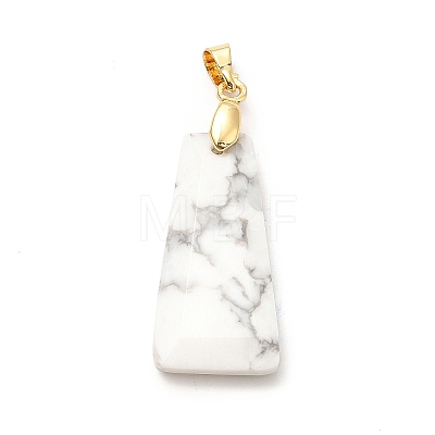 Natural Howlite Pendants G-C045-01J-G-1