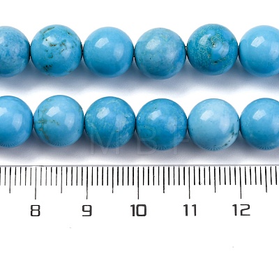 Dyed Natural Magnesite Beads Strands G-P558-A01-01A-1