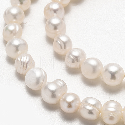Natural Cultured Freshwater Pearl Beads Strands X-SPPA004Y-1-1