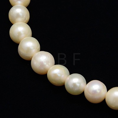 Natural Cultured Freshwater Pearl Beads Strands PEAR-L001-E-07-1