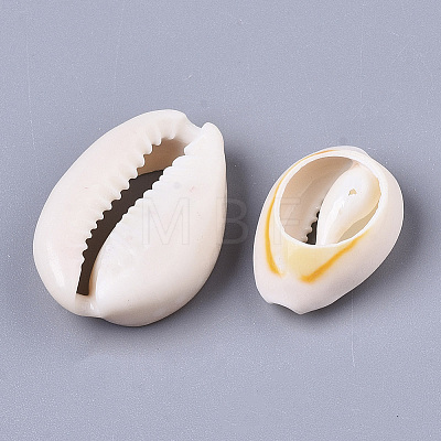 Natural Cowrie Shell Beads LS-X-SSHEL-N034-34-1