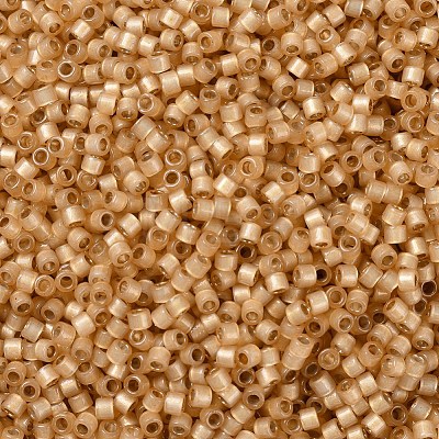 MIYUKI Delica Beads SEED-J020-DB2171-1