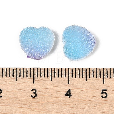 Imitation Candy Food Style Resin Cabochons RESI-R461-01M-1