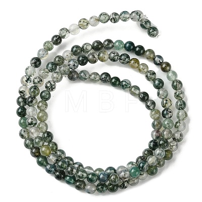 Natural Moss Agate Beads Strands G-K365-C06-01-1