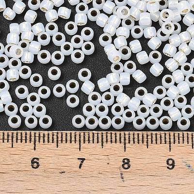 TOHO 8/0 Round Beads X-SEED-TR08-2100-1