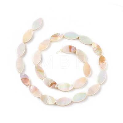 Natural Freshwater Shell Beads Strands SHEL-T009-22-1