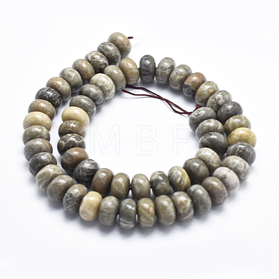Natural Fossil Coral Beads Strands G-K256-10D-1