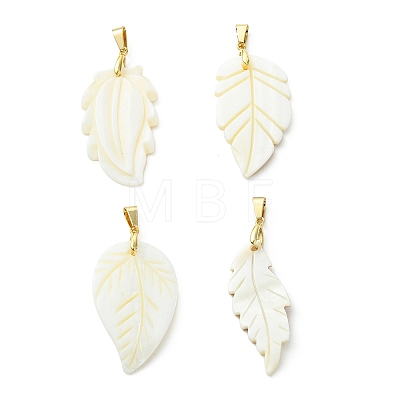 Natural Freshwater Shell Carved Pendants PALLOY-JF05384-1