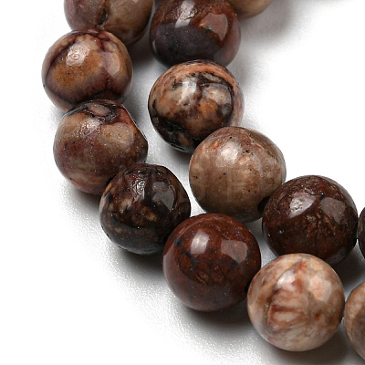 Natural Gemstone Beads Strands G-R494-A22-02-1