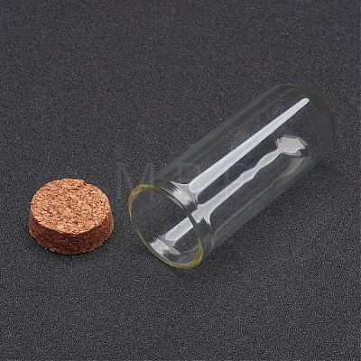 Glass Dome Cloche Cover AJEW-P043-1