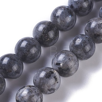 Natural Labradorite Beads Strands G-P428-09A-12mm-1