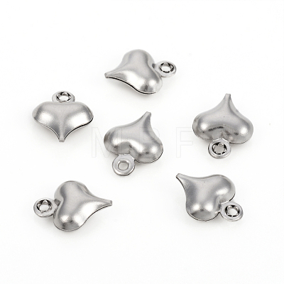 304 Stainless Steel Charms STAS-I149-05B-P-1