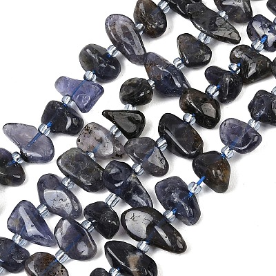 Natural Iolite Beads Strands G-L657-E04-01-1