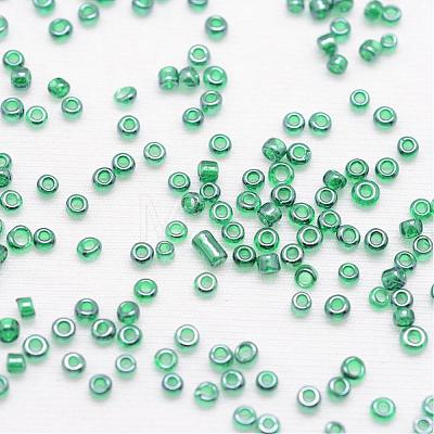 8/0 Glass Seed Beads X-SEED-J012-F8-117-1