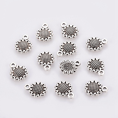 Tibetan Style Alloy Charms LF10257Y-1