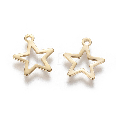 201 Stainless Steel Charms STAS-L233-046G-1