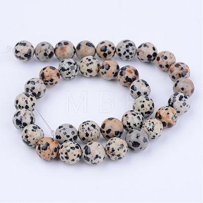 Natural Dalmatian Jasper Beads Strands G-Q462-8mm-30-1