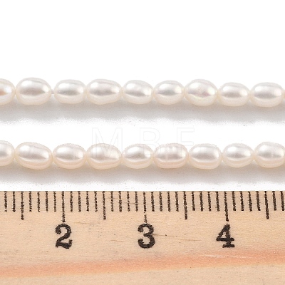Natural Cultured Freshwater Pearl Beads Strands PEAR-P062-03B-1