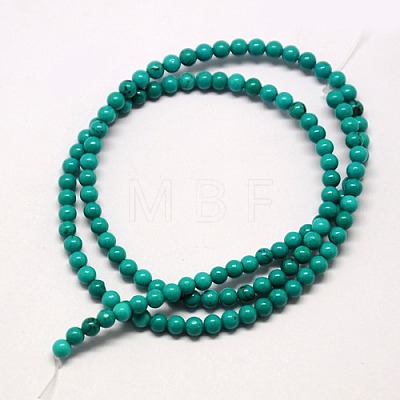 Natural Magnesite Beads Strands TURQ-L019-10mm-01-1