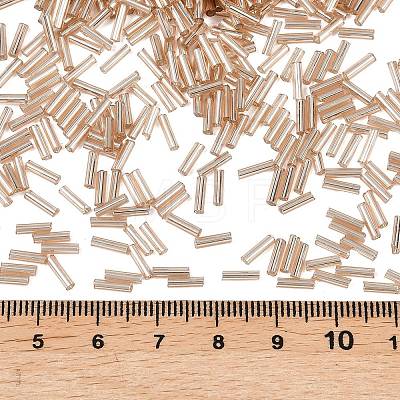 Glass Bugle Beads X-TSDB6MM39A-1