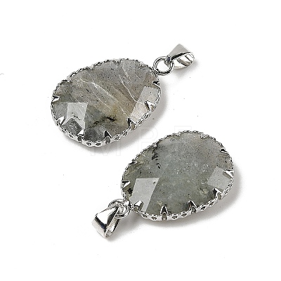 Natural Labradorite Pendants G-H086-01P-05-1