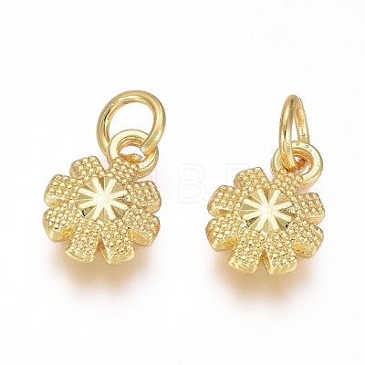 Electroplated Alloy Charms X-PALLOY-G267-11G-1