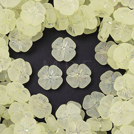 Frosted Transparent Acrylic Beads OACR-P029-19B-03-1
