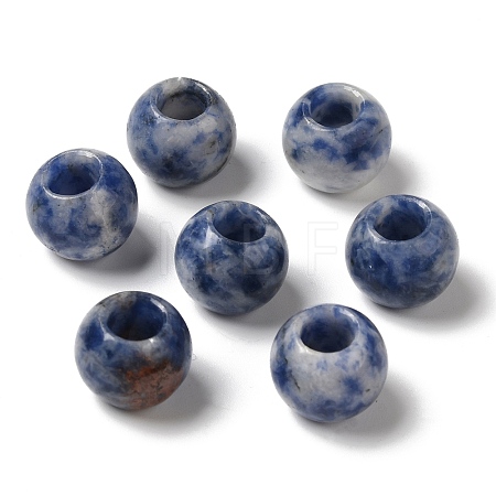 Natural Blue Spot Jasper European Beads G-N342-03D-1