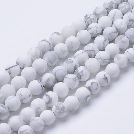 Natural Howlite Beads Strands G-T055-8mm-02-1