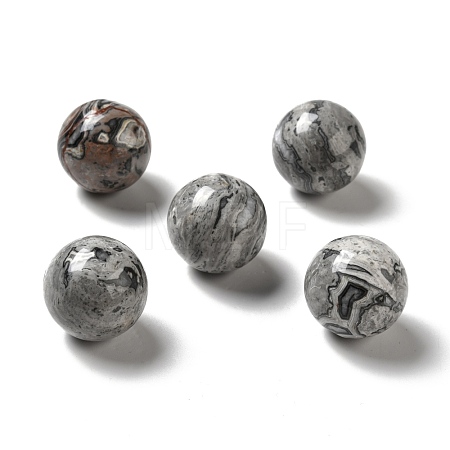 Natural Map Stone Beads G-A206-02-11-1