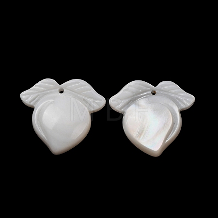 Natural White Shell Carved Fruit Pendants SHEL-G024-07-1