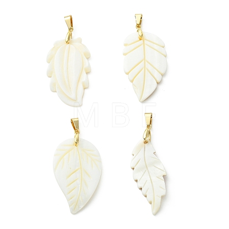 Natural Freshwater Shell Carved Pendants PALLOY-JF05384-1