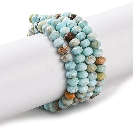 Natural Howlite Beads Strands G-H025-03C-09-1