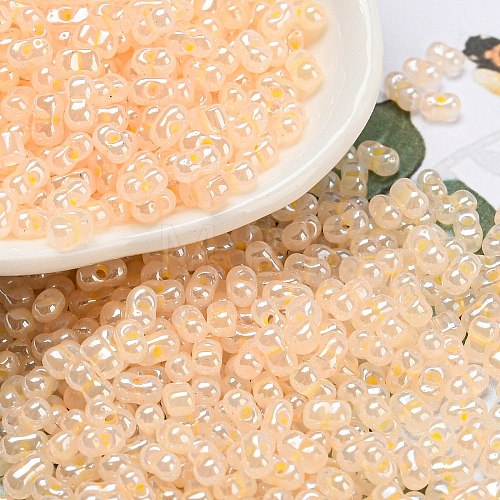 Ceylon Glass Seed Beads SEED-K009-02B-34-1