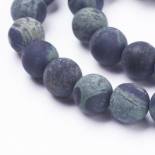 Natural Kambaba Jasper Beads Strands G-F520-53-8mm-1