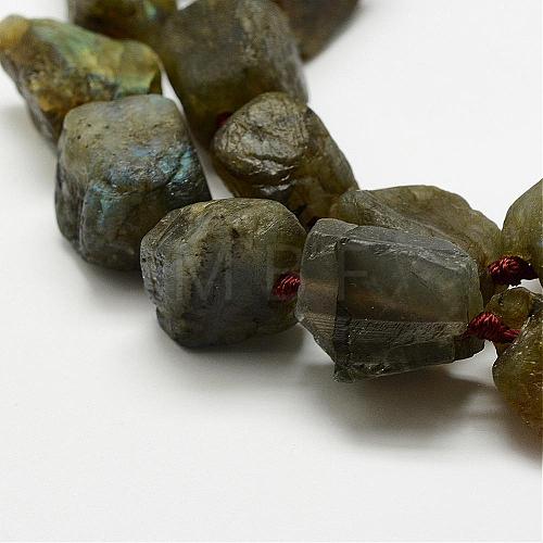 Natural Labradorite Beads Strands G-E382-02F-1