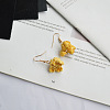 Resin & Alloy Dangle Earrings WG1C298-01-1