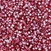 Baking Paint Glass Seed Beads SEED-Q041-03A-08-3