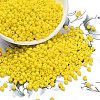 8/0 Opaque Colours Round Glass Seed Beads X-SEED-A010-3mm-42-1
